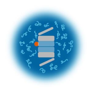 Illustration of NINLARO® (ixazomib) Mechanism of Action.